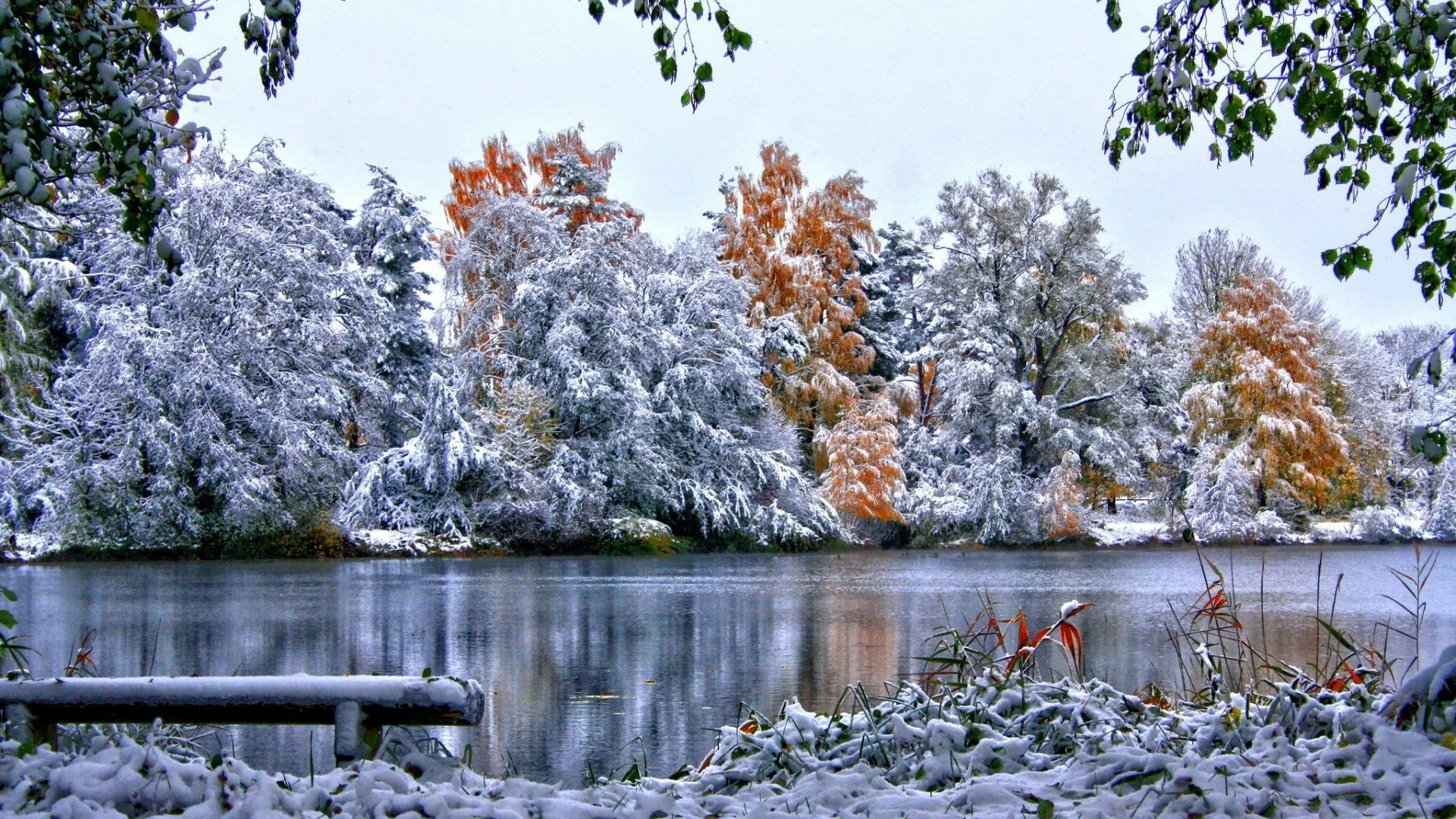 река, деревья, зима