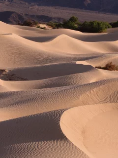 пустыня, пески, бархан