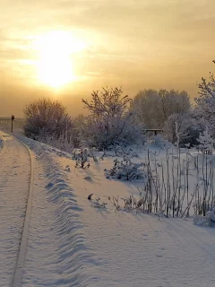 зима, снег, дорога, солнце