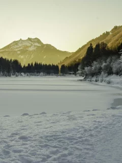 зима, лес, горы