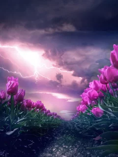 цветы, фон