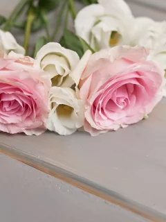цветы, фон