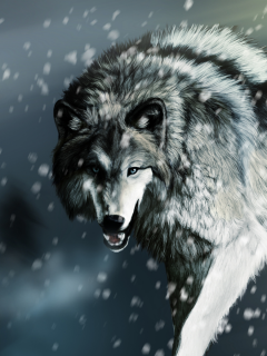 волк, хищник