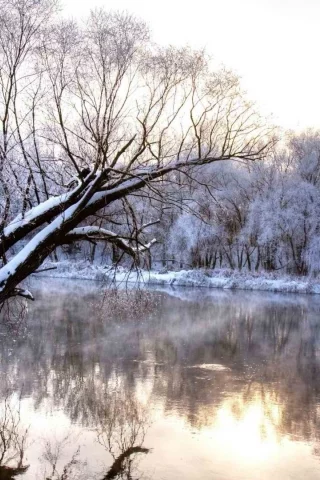 река, дерево, зима