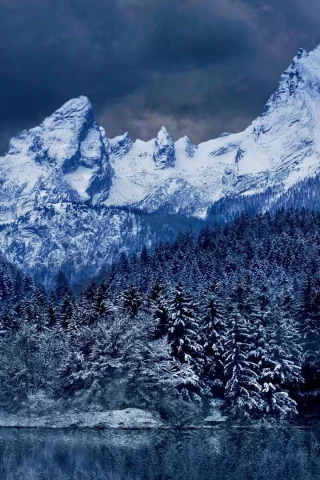 горы, лес, река