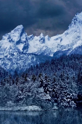 горы, снег, лес