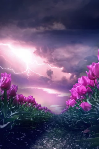 цветы, фон