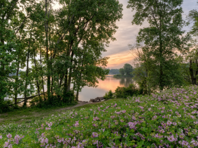 пейзаж, рассвет, вода