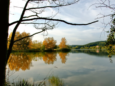озеро, лес, деревья, осень