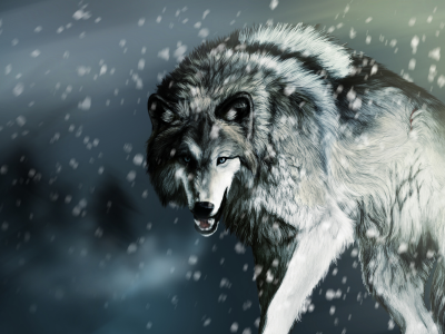 волк, хищник