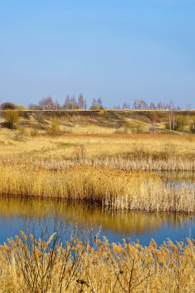 река, небо, трава, осень