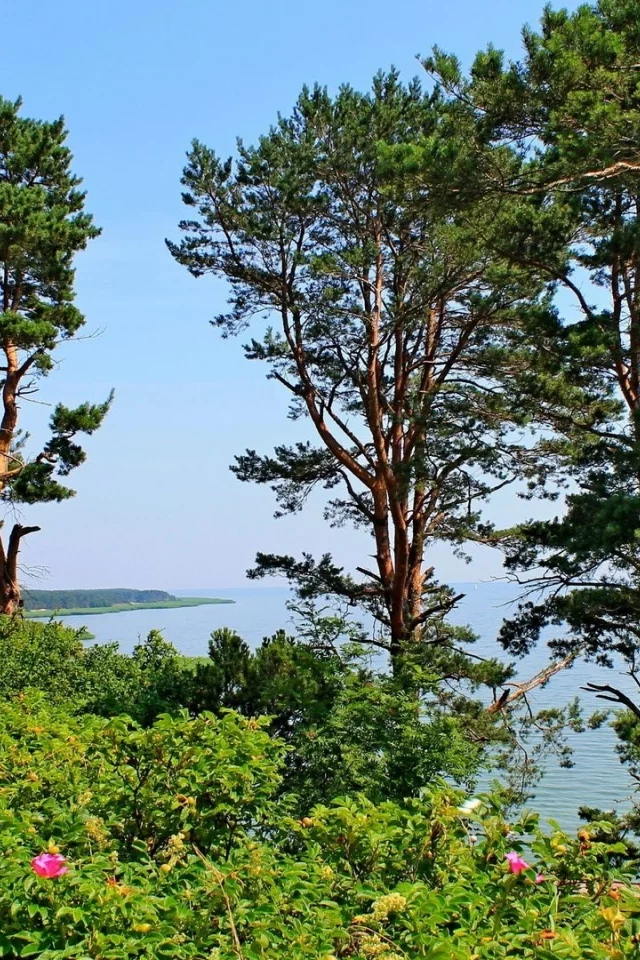 лето, море, берег