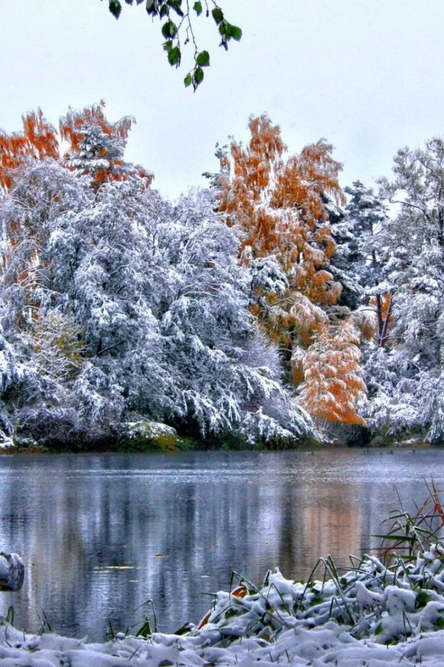 река, деревья, зима