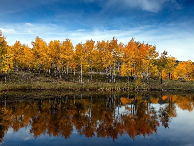 озеро, лес, осень