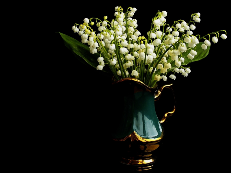 цветы, подснежники, в вазе