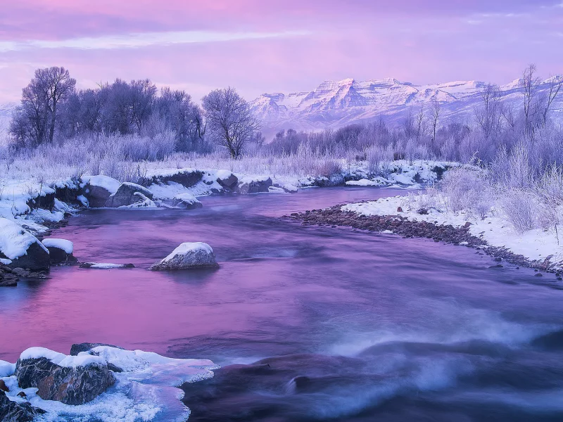 горы, лес, река, снег