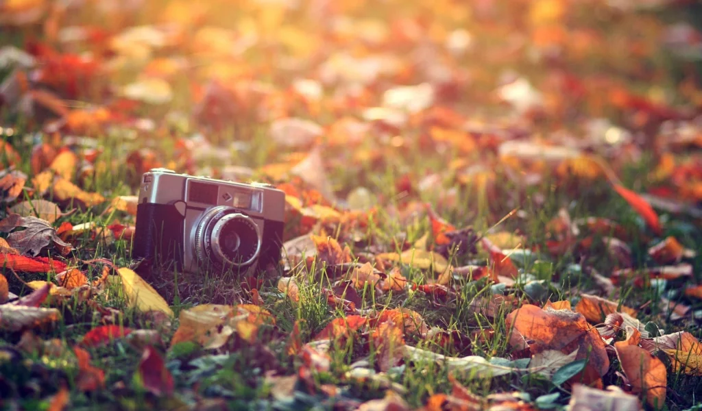 фотоаппарат, лежит на траве