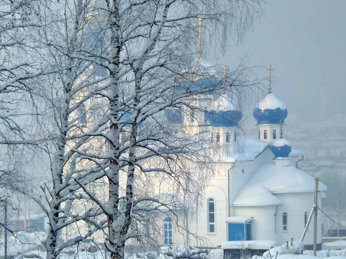 зима, снег, деревья, храм