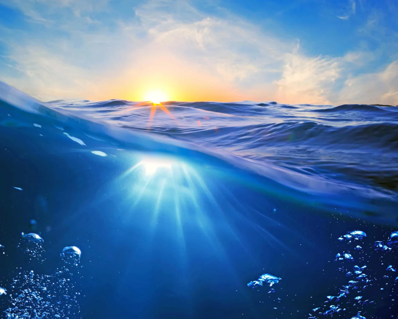 природа, деревья, вода 25