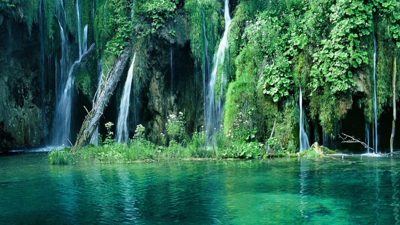 waterfall, trees