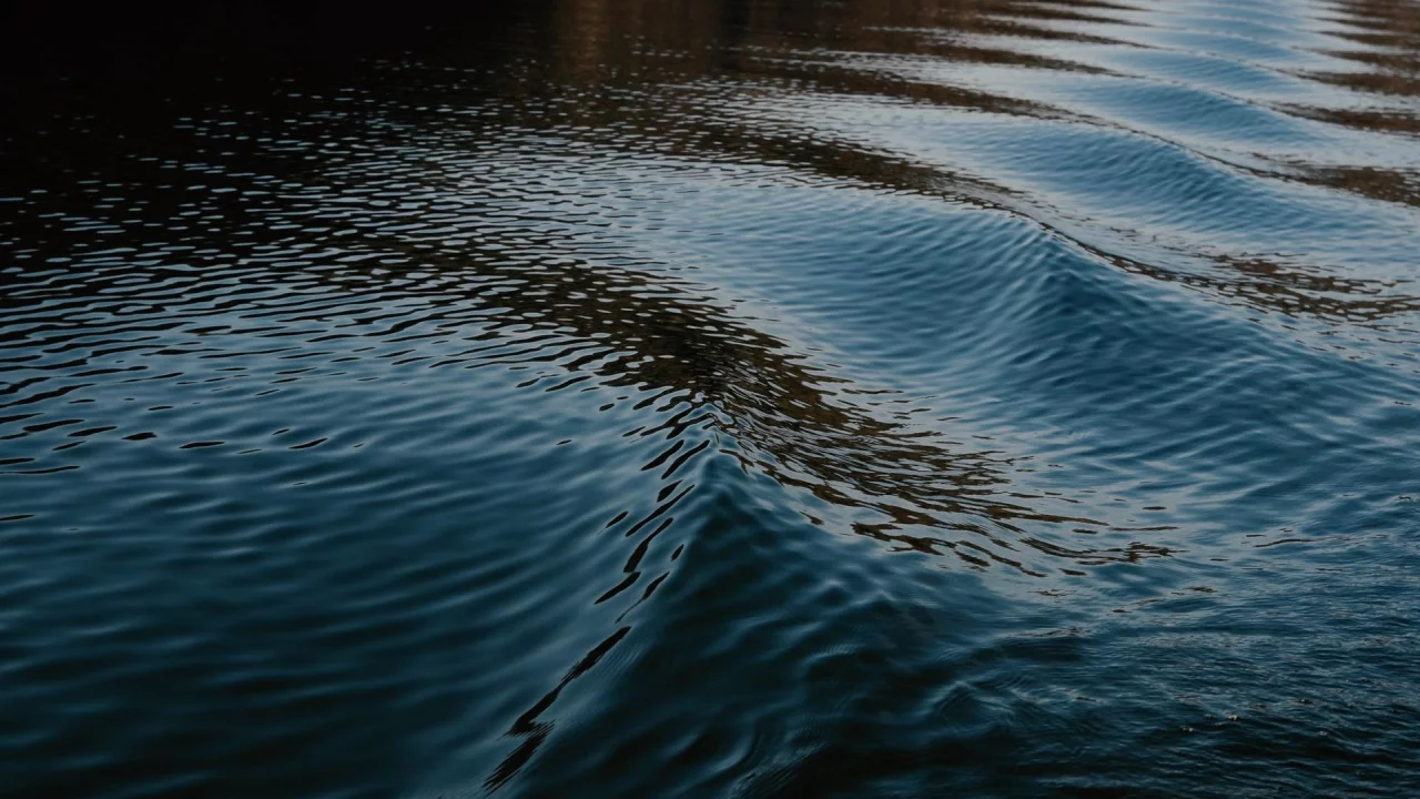 природа, деревья, вода 13