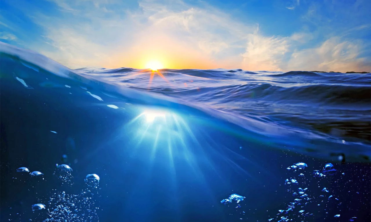 природа, деревья, вода 25