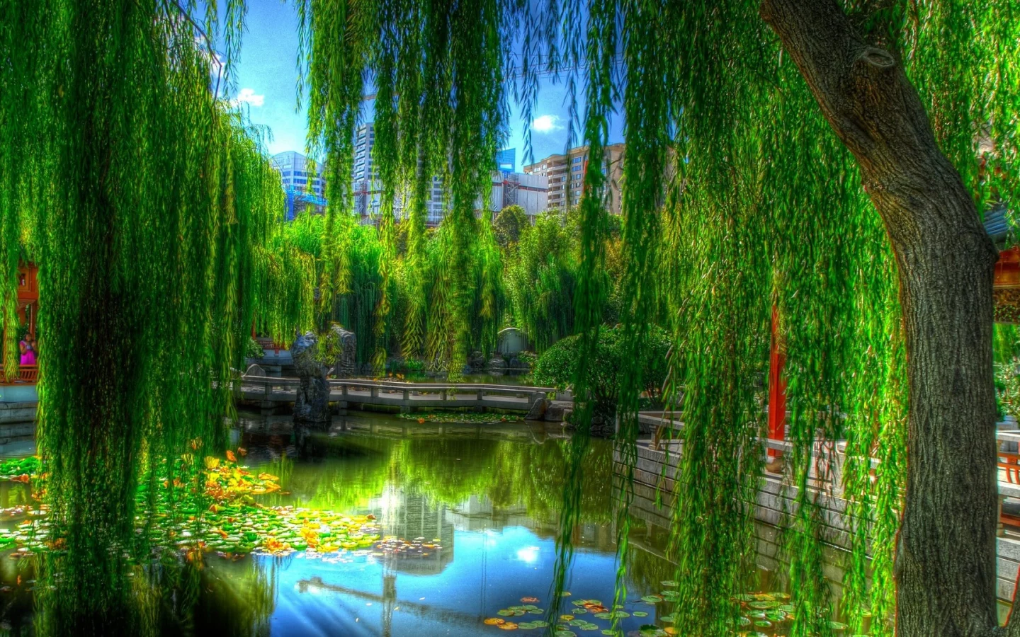 water, trees 2