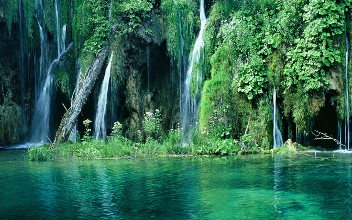 waterfall, trees