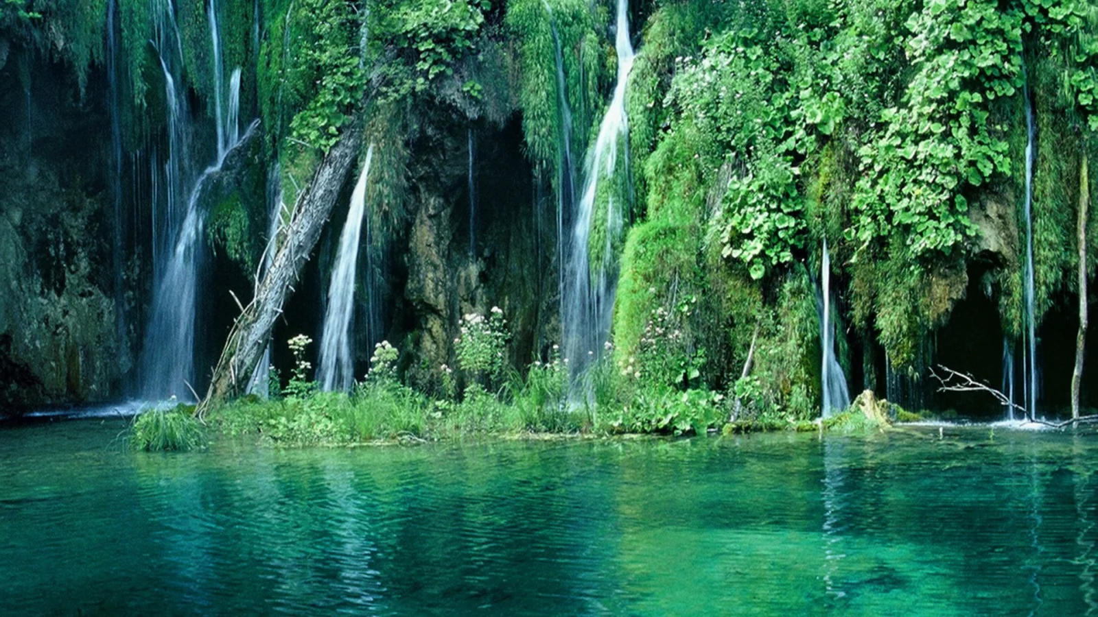 waterfall, trees