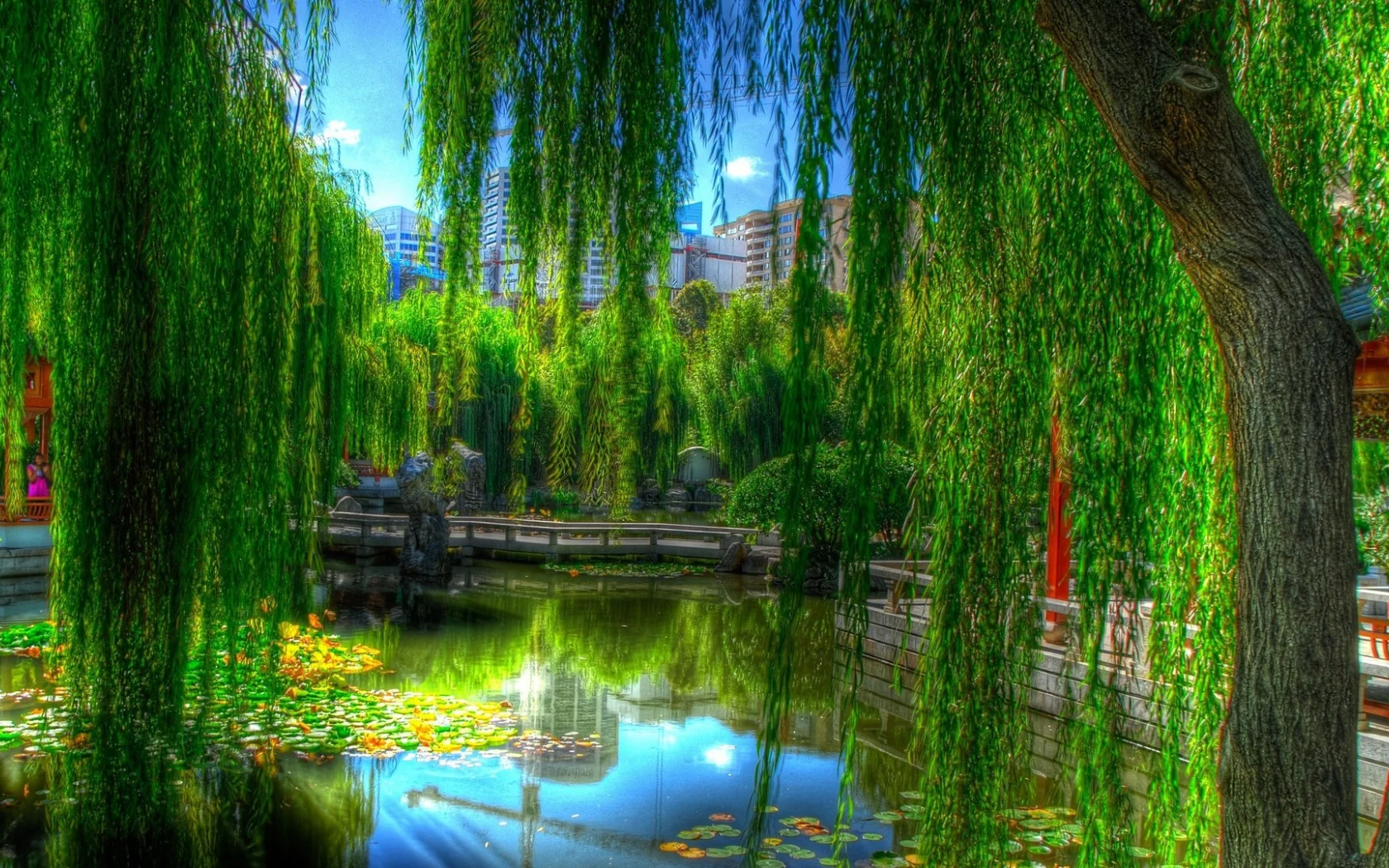 water, trees 2