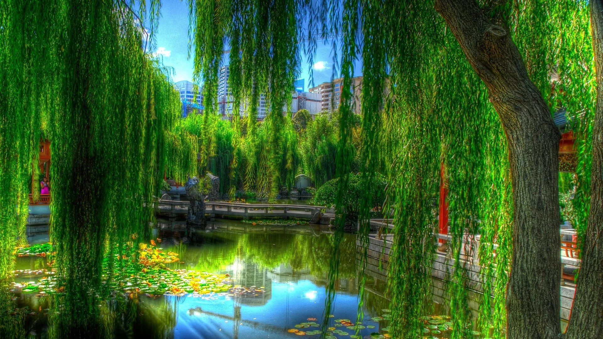 water, trees 2