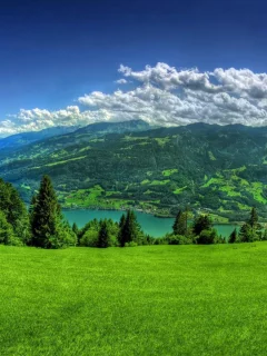 grass, clouds