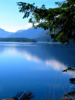 view, landscape