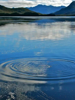природа, деревья, вода 18