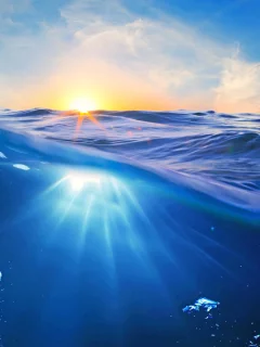 природа, деревья, вода 25