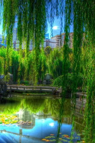 water, trees 2