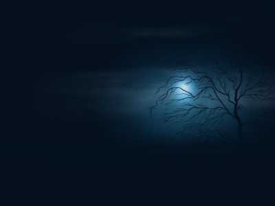 дерево, ночь, луна