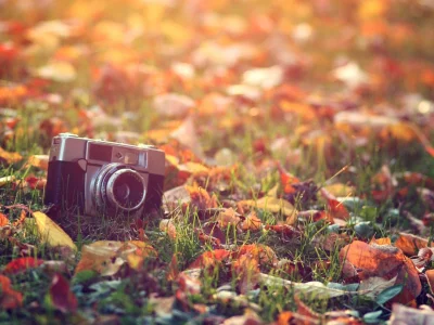 фотоаппарат, лежит на траве