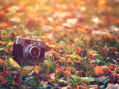 фотоаппарат, лежит на траве
