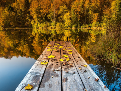 озеро, мостки, осень, листопад
