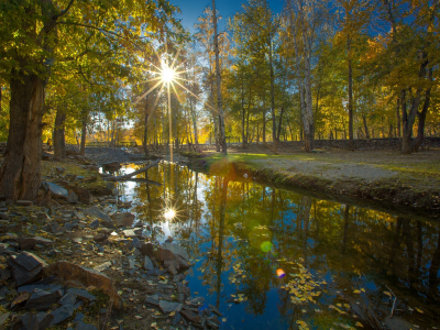 лес, вода, солнце