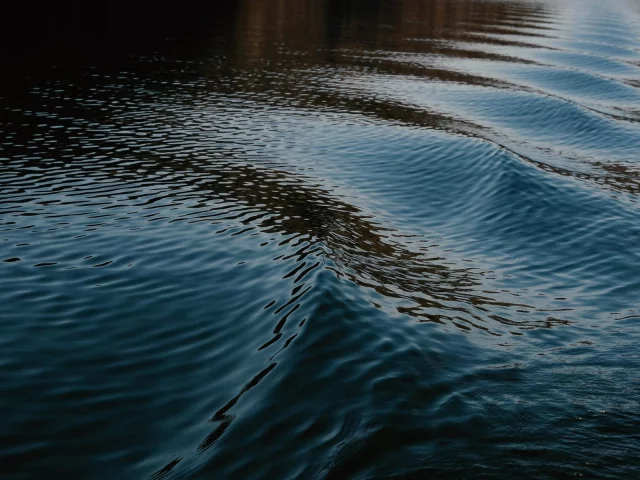 природа, деревья, вода 13