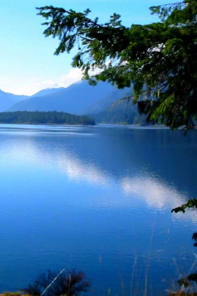 view, landscape