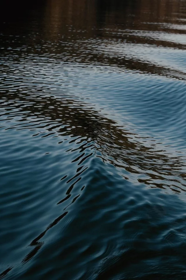 природа, деревья, вода 13