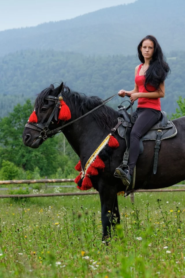 девушка, красивая, верхом на лошади
