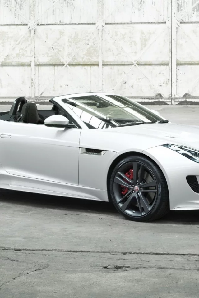 auto, jaguar