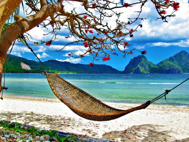 view, hammock