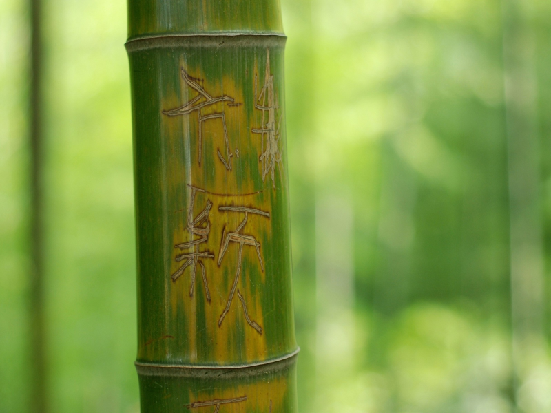 бамбук, иероглифы