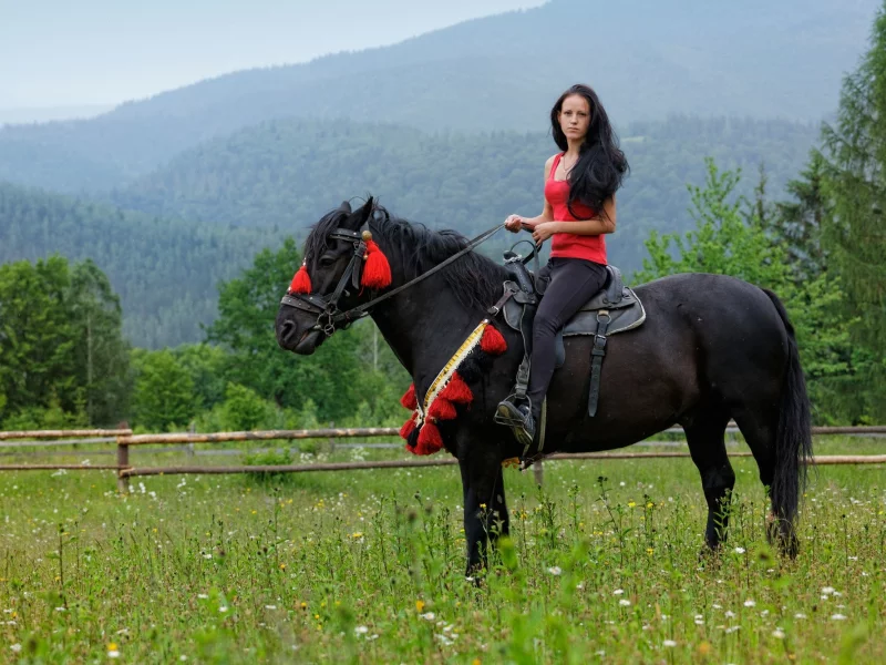 девушка, красивая, верхом на лошади
