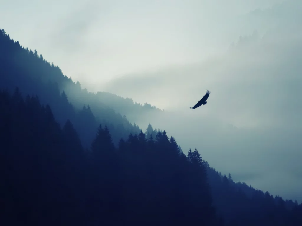горы, лес, туман